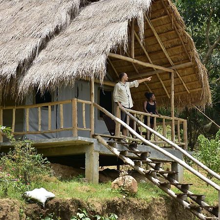 Ella Jungle Resort Екстер'єр фото