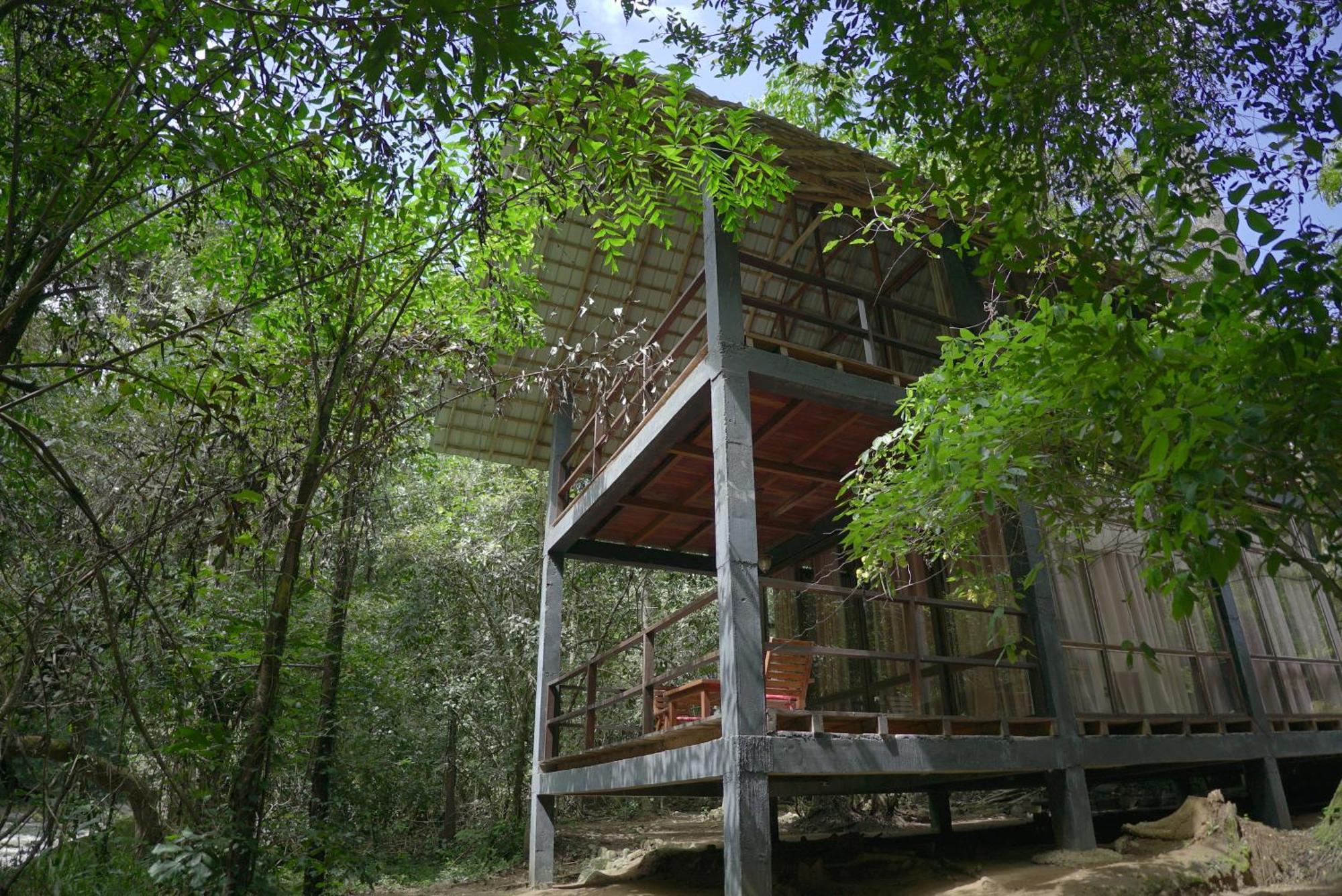 Ella Jungle Resort Екстер'єр фото