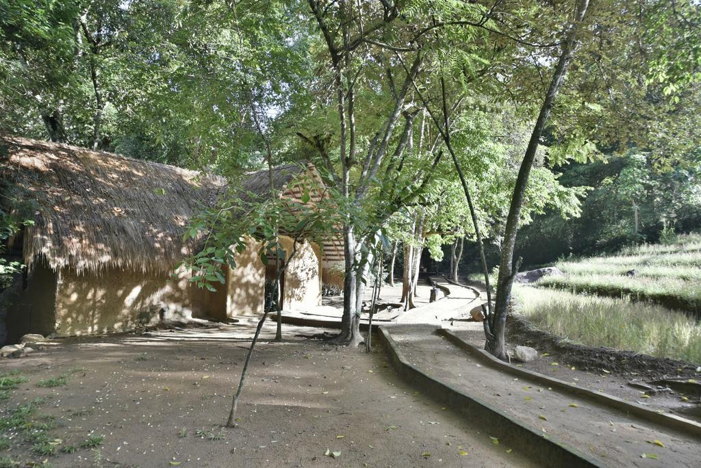 Ella Jungle Resort Екстер'єр фото
